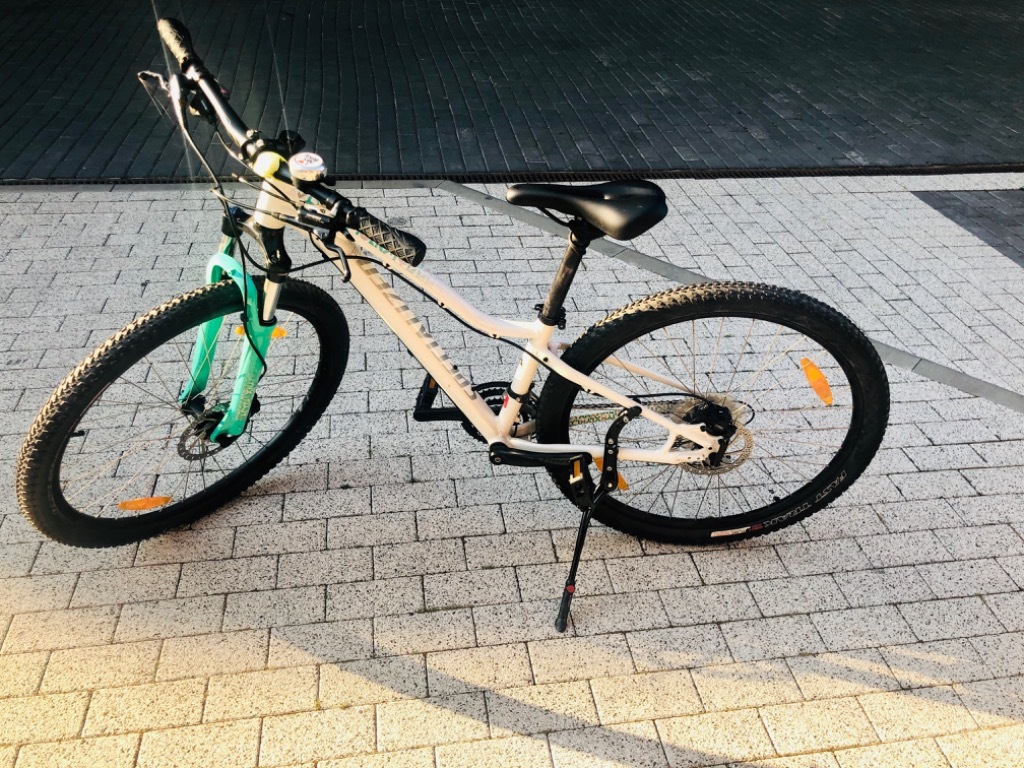 specialized comp disc