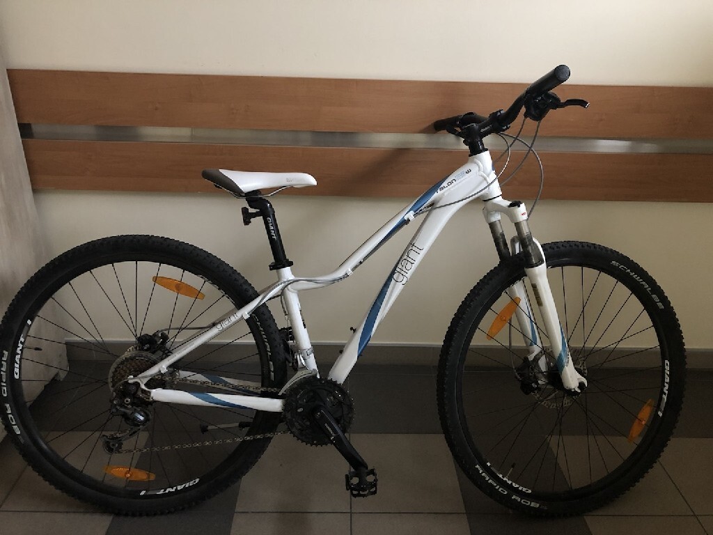 giant talon 29er 1 2013
