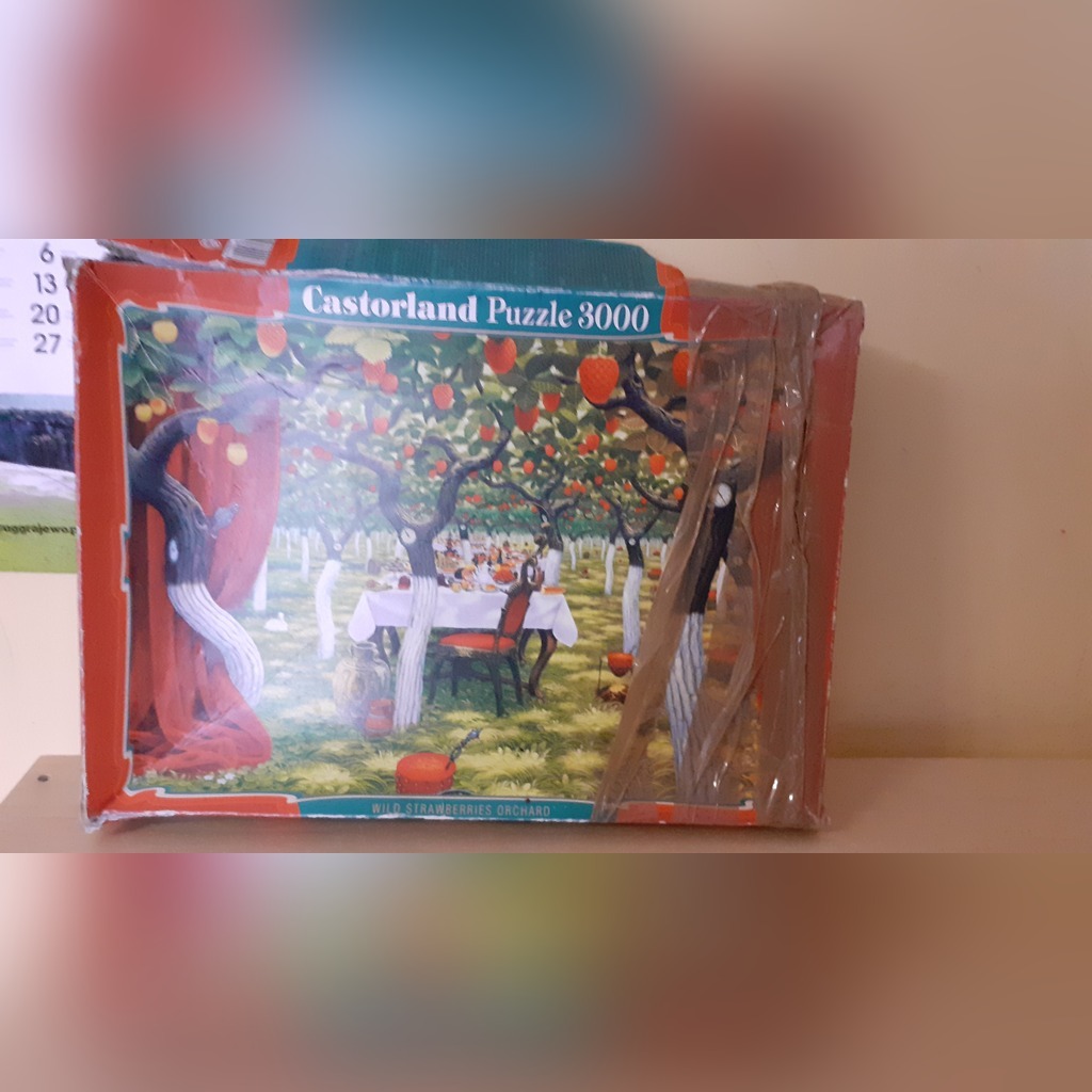 Castorland, Yerka, 3000 puzzle Koszarówka Kup teraz na Allegro Lokalnie