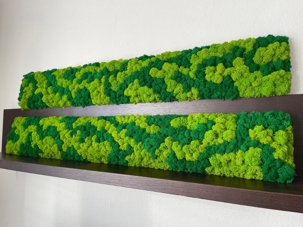 Panel z mchu chrobotka 100x15 na korku do łazienki Kraków