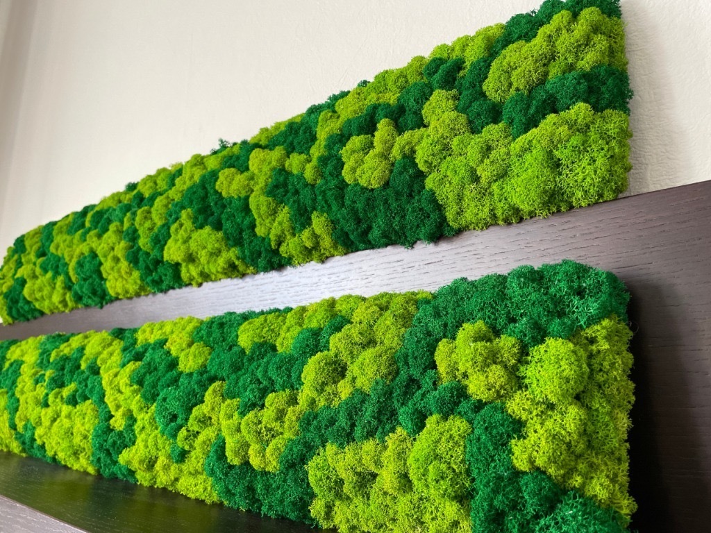 Panel z mchu chrobotka 100x15 na korku do łazienki Kraków