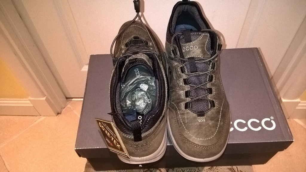 ecco mens espinho gtx