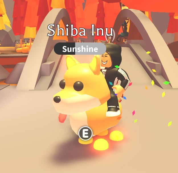 Roblox Adopt NEON SHIBA INU R Bestwinka Kup teraz na Allegro