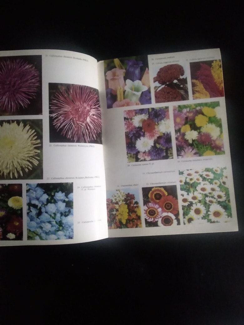 Zdjęcie oferty: Katalog roślin ozdobnych rozmnażanych z nasion. 