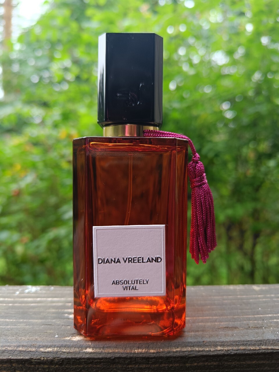 Diana Vreeland Absolutely Vital nisza Warszawa Kup teraz na