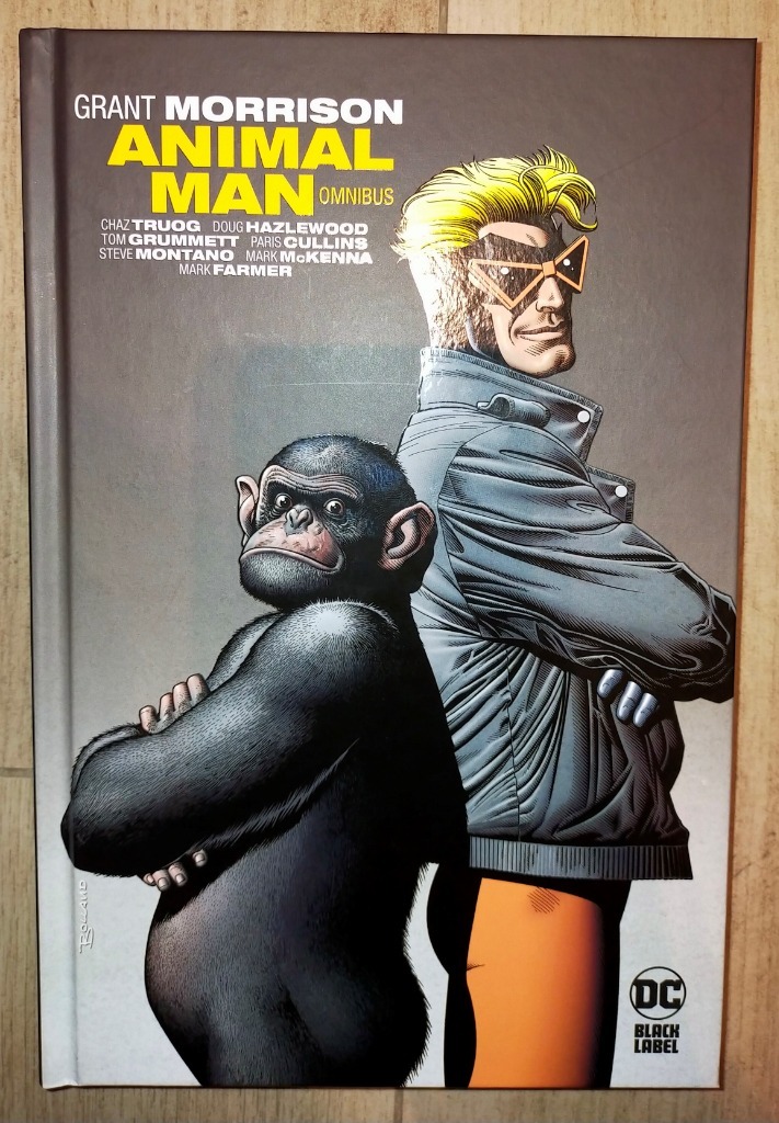 Animal Man Grant Morrison Ksawerów Kup teraz na Allegro Lokalnie