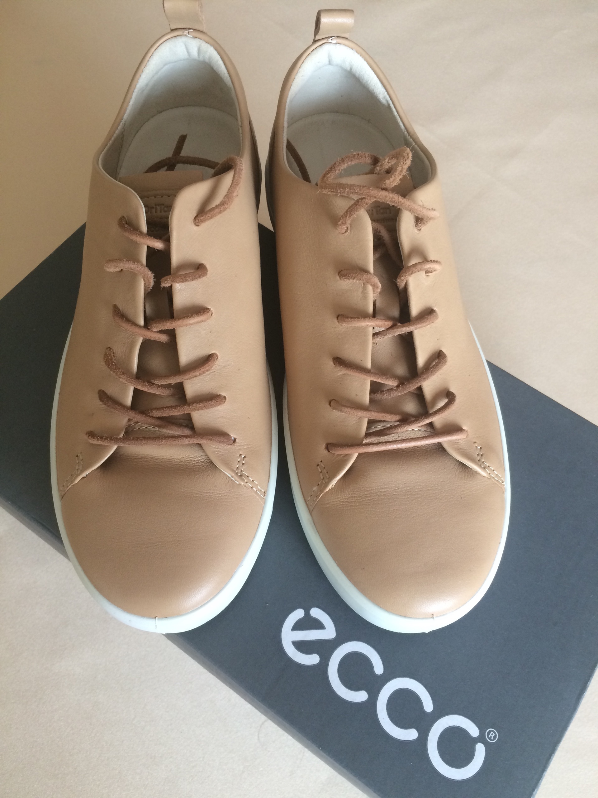 ecco 37