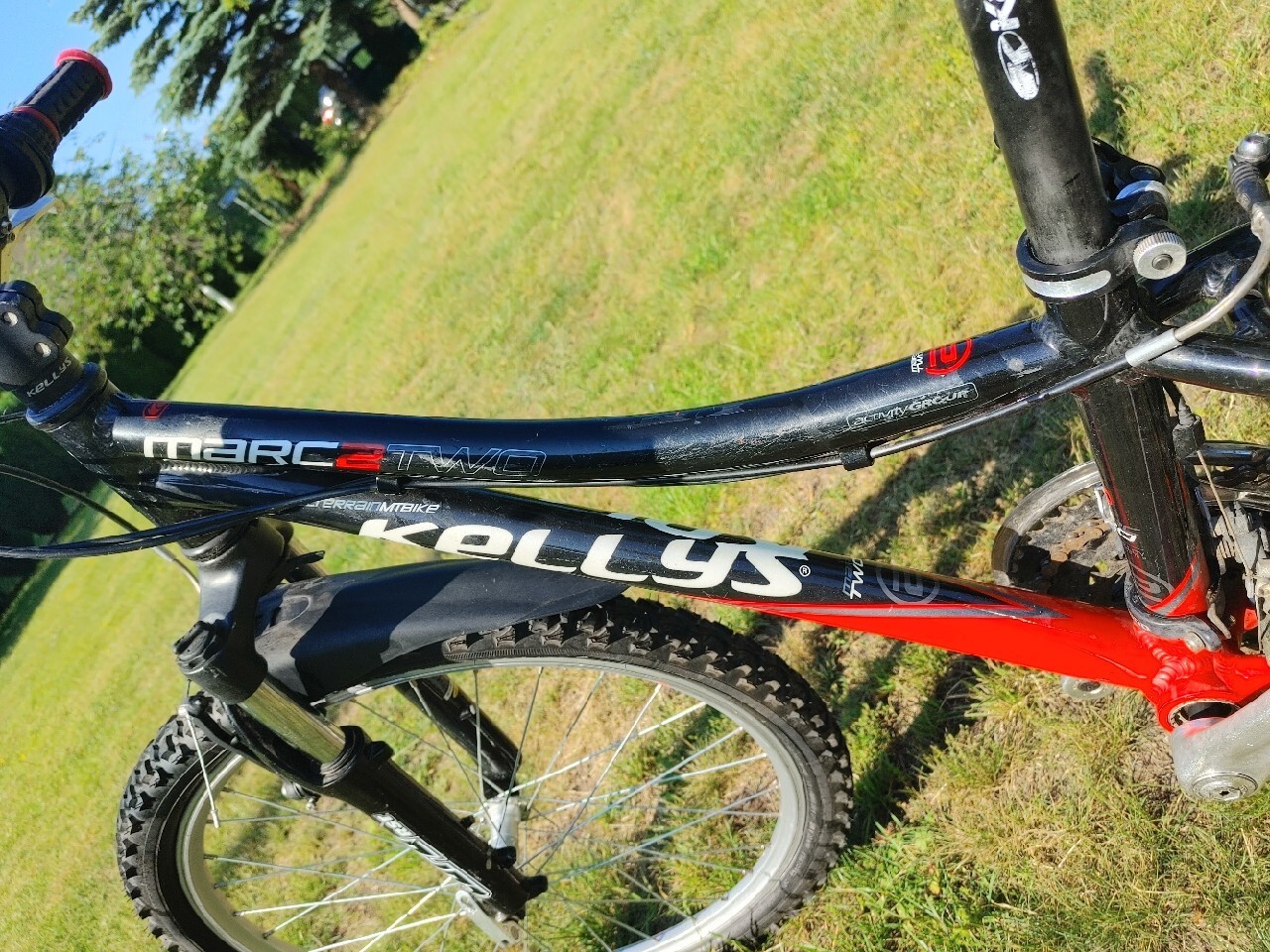 Rower Kellys Junior Gdańsk Kup teraz na Allegro Lokalnie