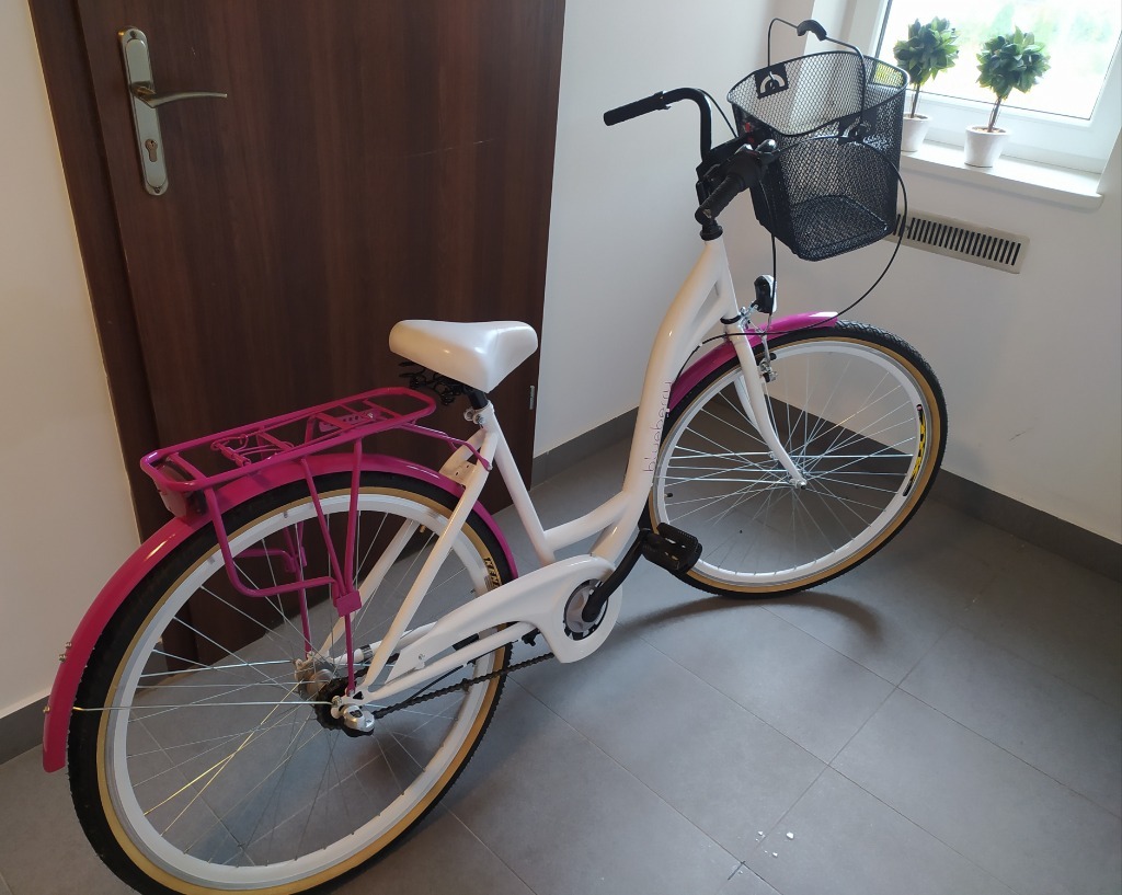 Damski Rower miejski Goetze BLUEBERRY 28 3b kosz Radom Kup teraz na