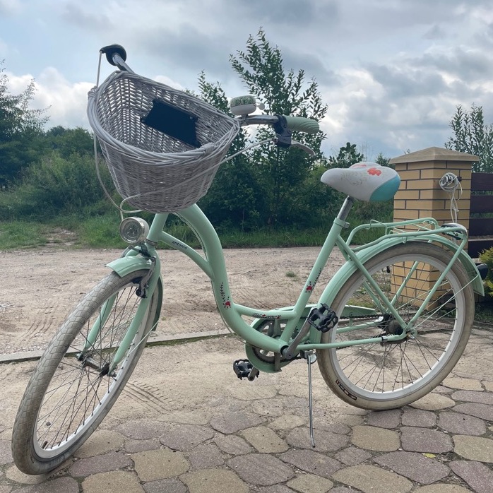 Rower miejski Vanessa Antonio 26' Wilkasy Ogłoszenie na Allegro