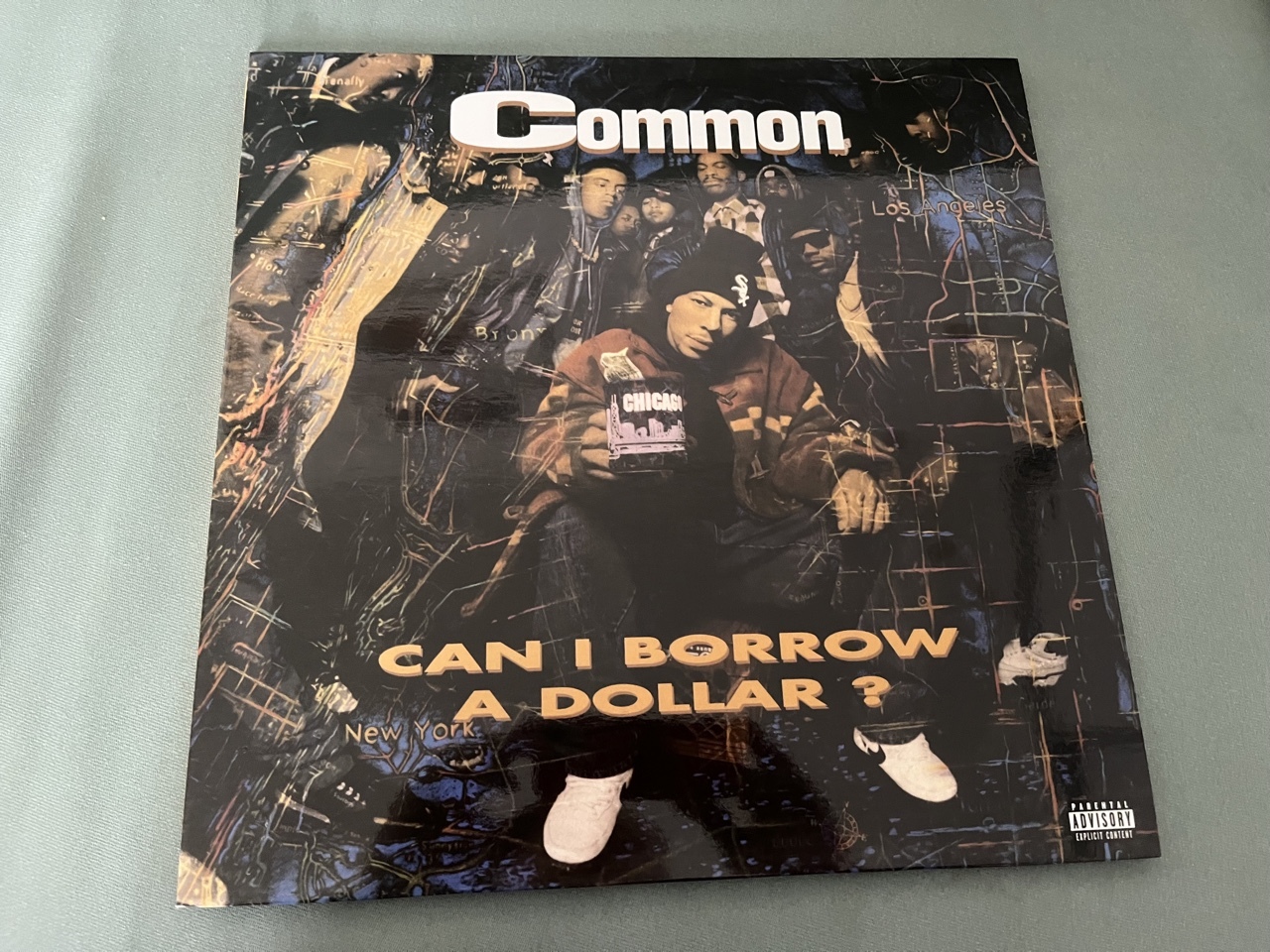 Common Can I Borrow A Dollar? LP Kraków Kup teraz na Allegro