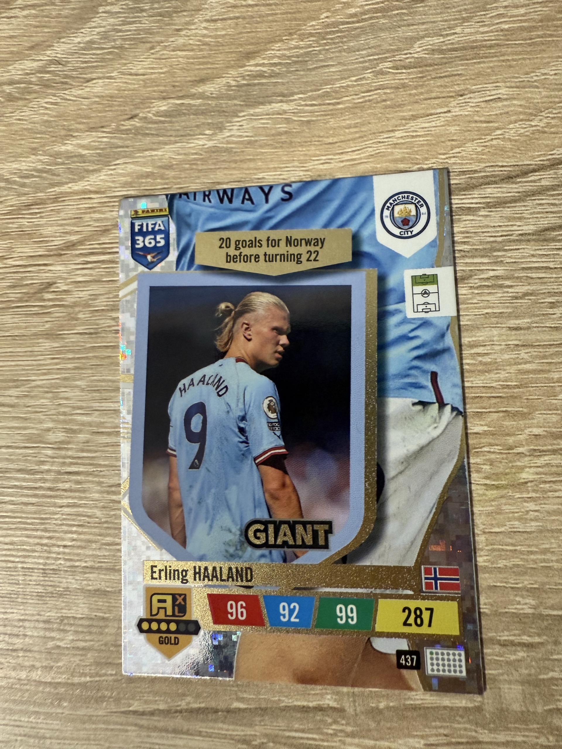 Karty haaland - Allegro Lokalnie