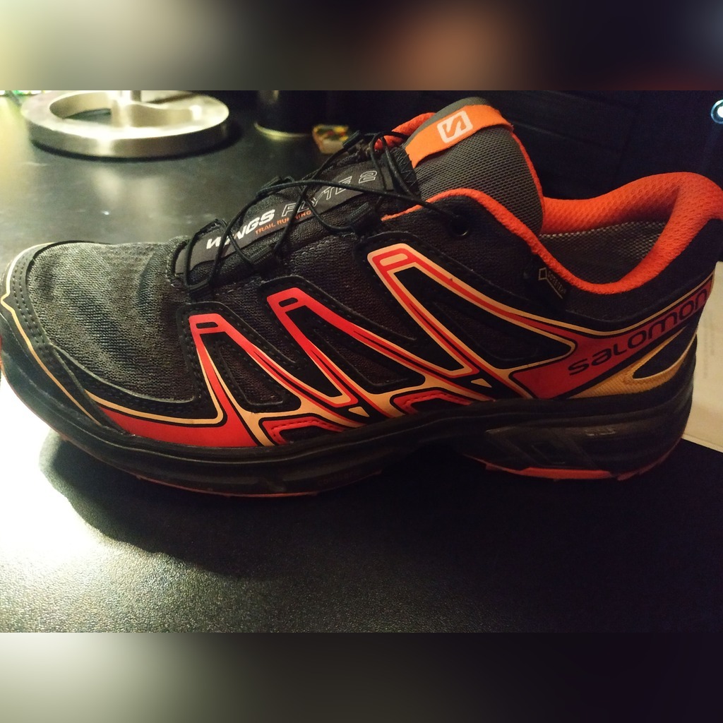 Salomon wings flyte 2024 2 gtx review