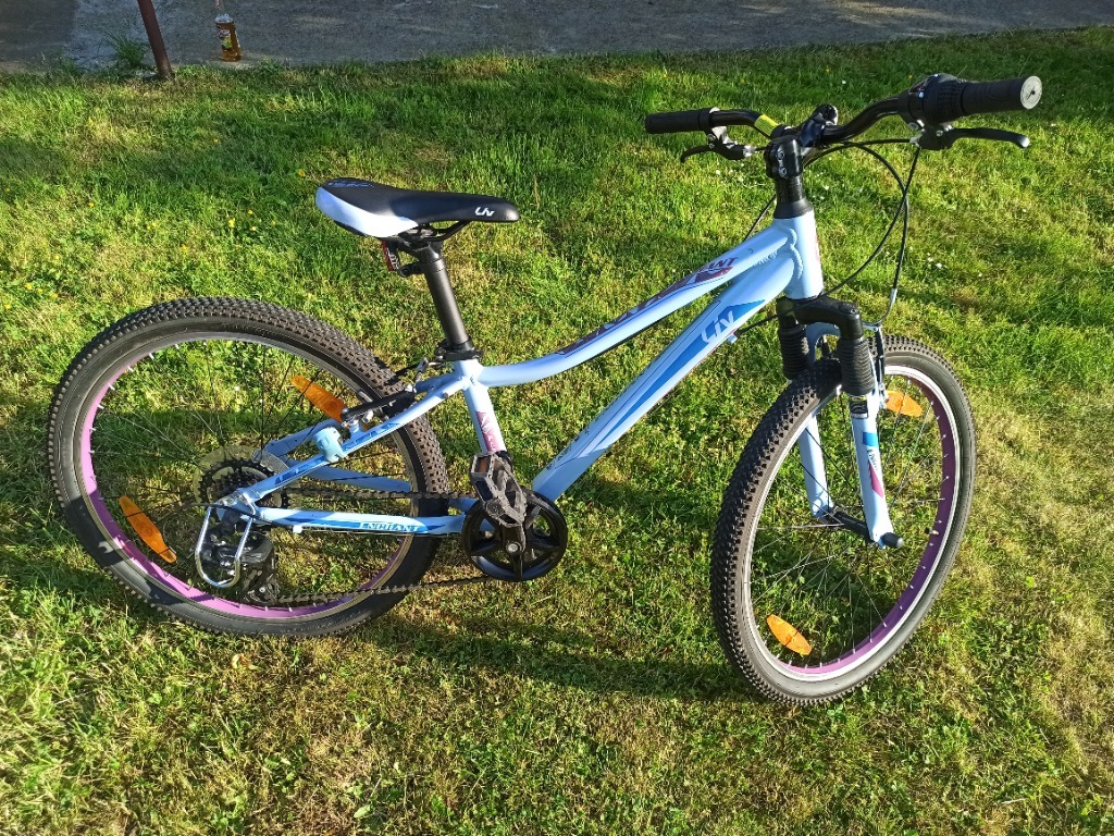 giant liv enchant 24