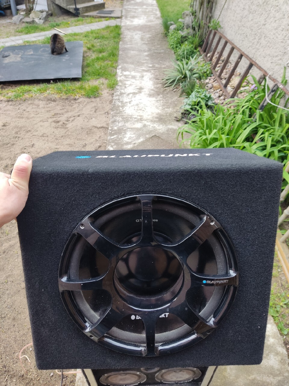 Głośnik basowy blaupunkt Allegro Lokalnie - Main Image