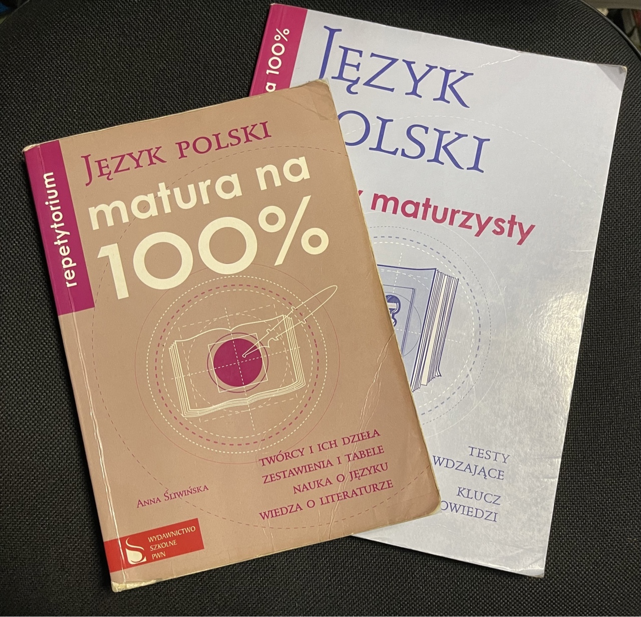 Repetytorium Matura Na 100 Język Polski