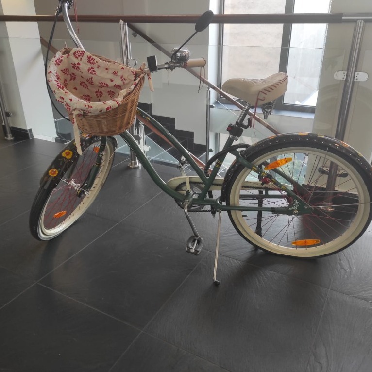 Electra zelda best sale 3i