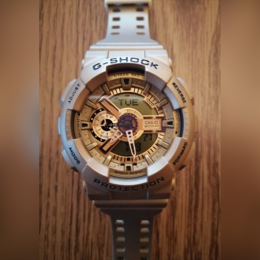 ga 110a 3004