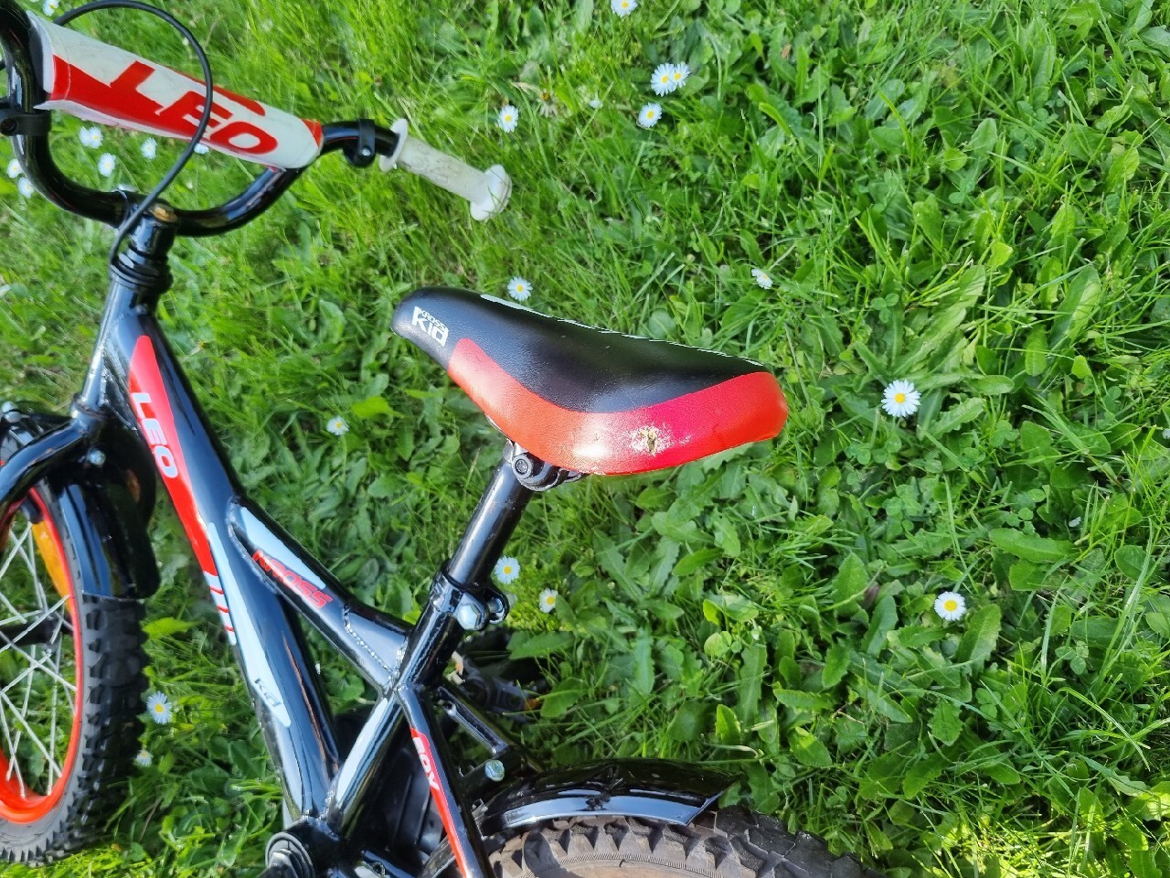 Rower dziecięcy Kross Leo "16" Łaziska Górne Kup teraz na Allegro