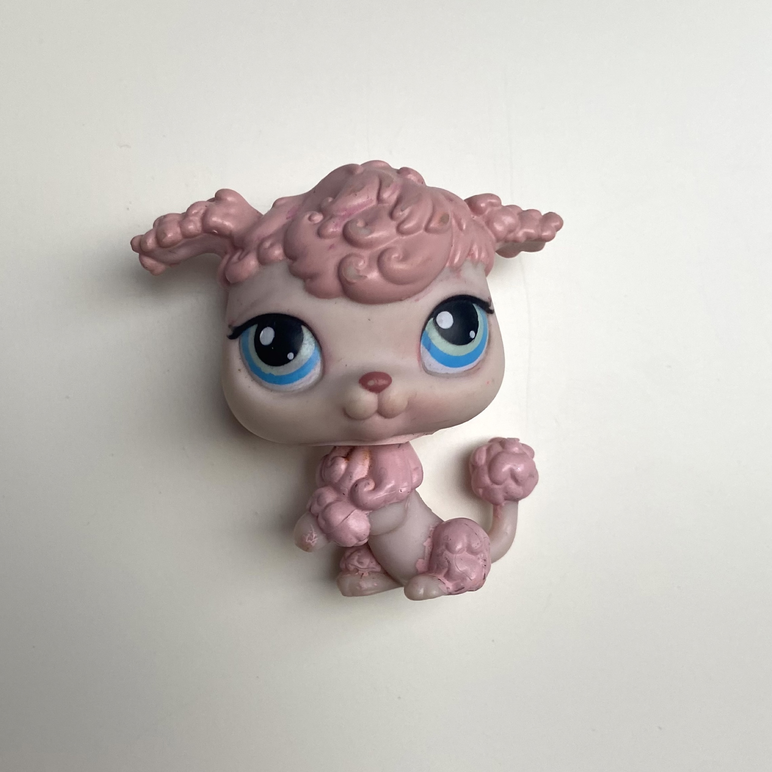 Piesek Pudel LPS Littlest Pet Shop Hasbro Warszawa Kup teraz na