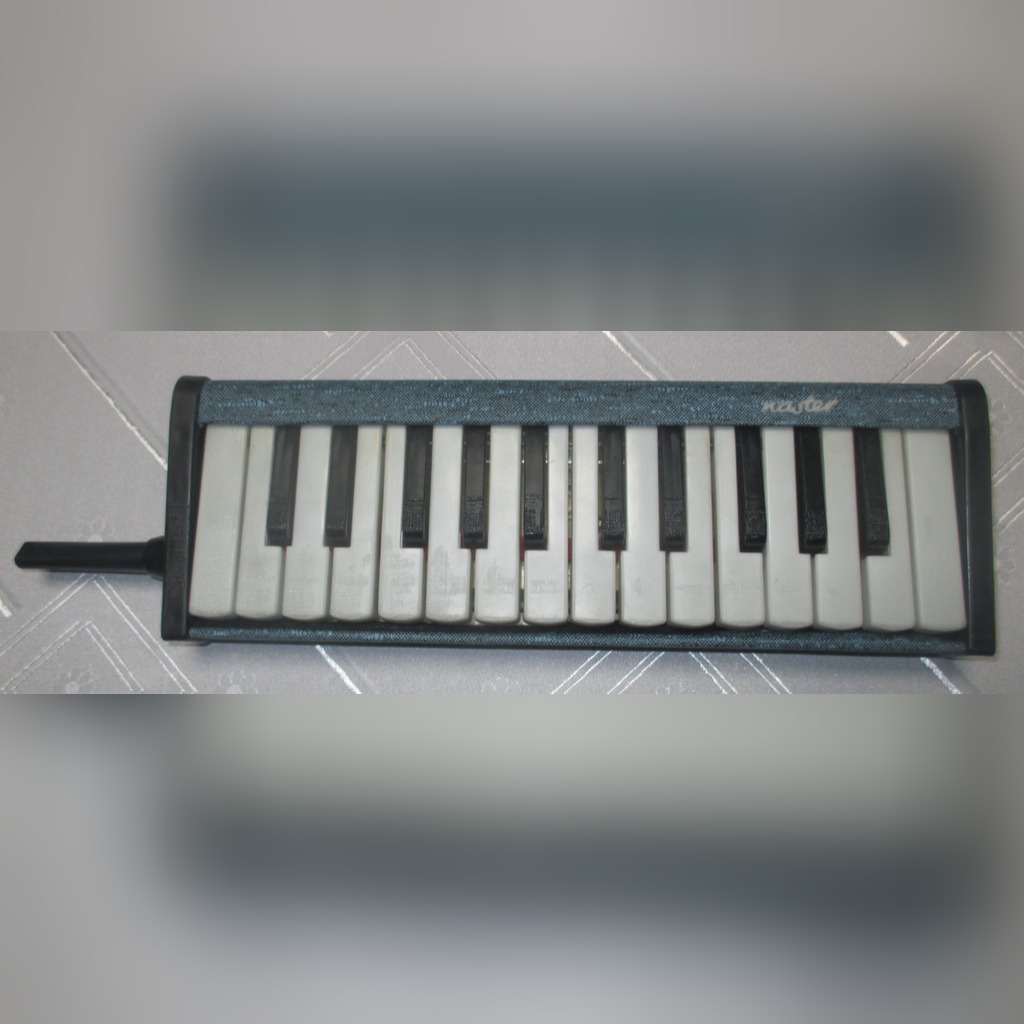 Bandmaster harmonijka, organki, melodica, melodyka Turawa Kup teraz