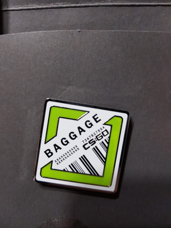 PIN CSGO CS GO BAGGAGE SERIA 2 SAMA ODZNAKA Ubrzeż Kup teraz na