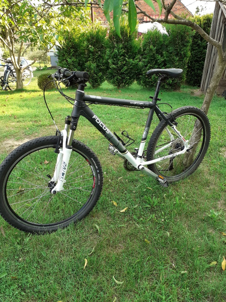 Rower Crossowy Focus Cieszkow Kup teraz na Allegro Lokalnie