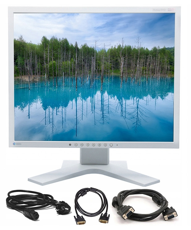 Monitor Eizo FlexScan S1921 19" IPS + kable Słońsk Kup teraz na