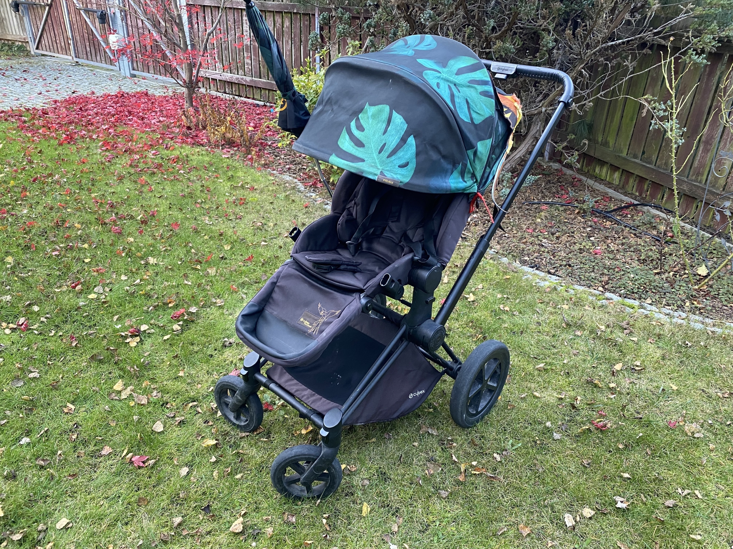 Cybex platinum cheap birds of paradise