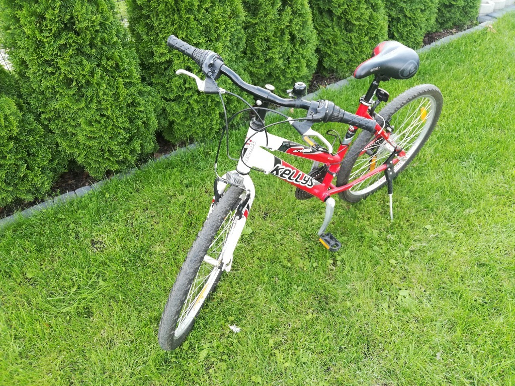 Rower damski Kellys sphera Obora Kup teraz na Allegro Lokalnie