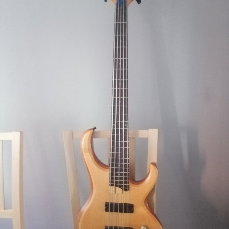 Ibanez outlet btb 1005