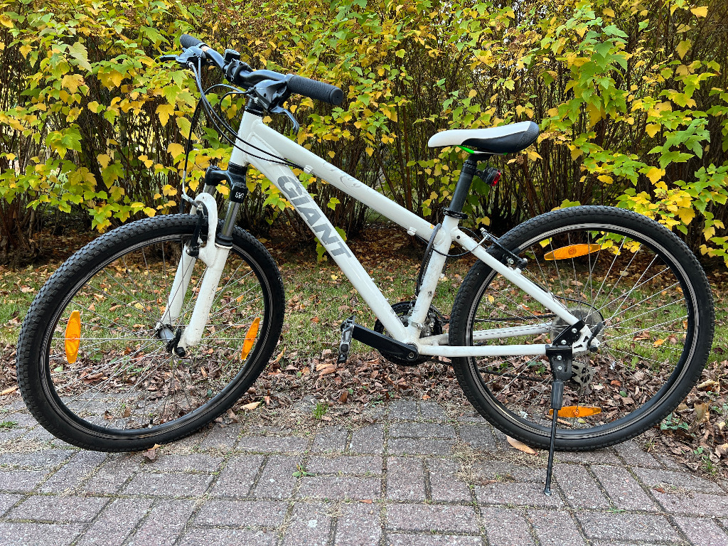 Giant boulder hot sale 26