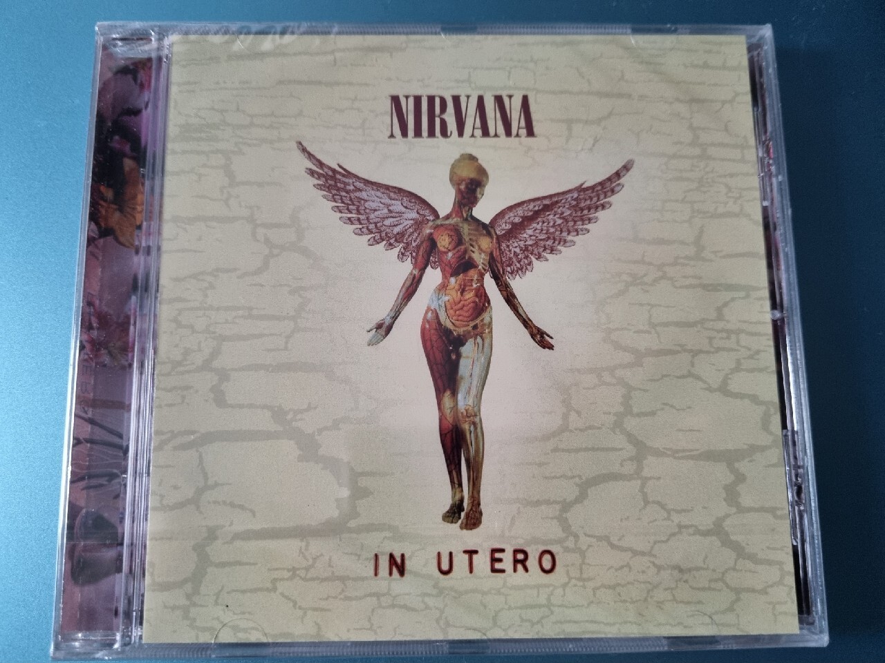 NIRVANA IN UTERO 20TH ANNIVERSARY (REMASTER) Rogoźno Licytacja