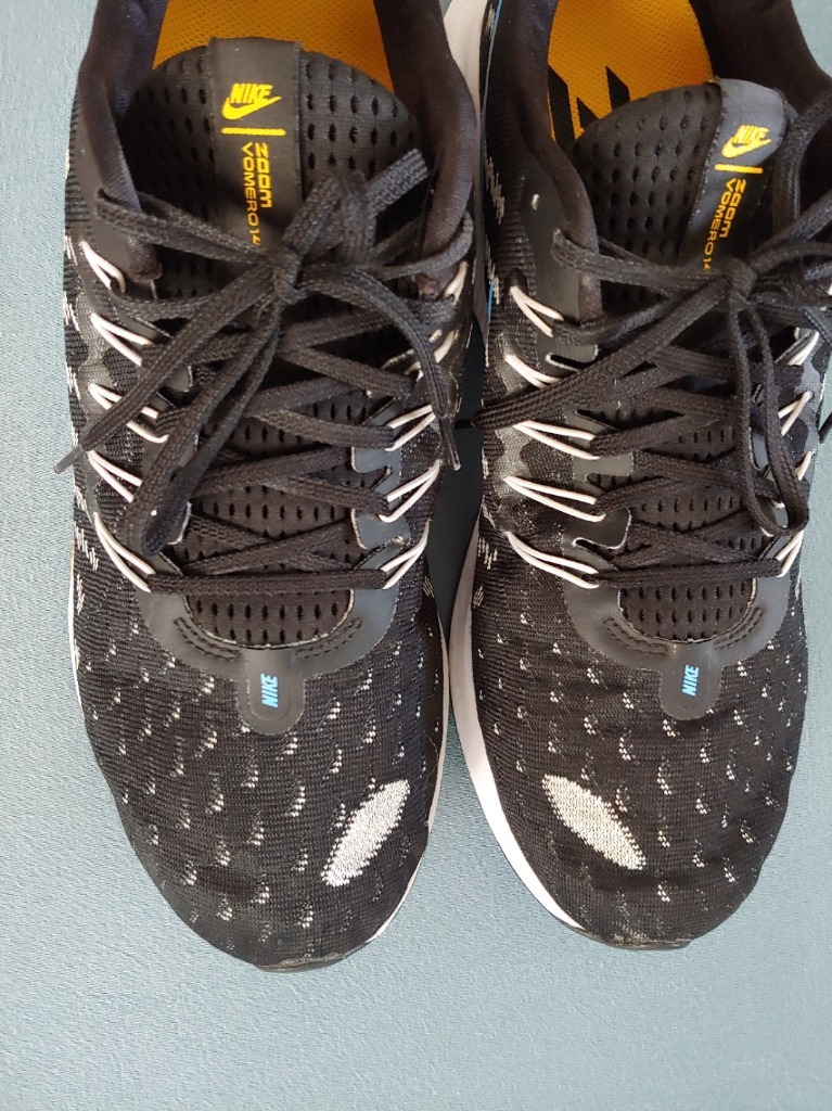 pegasus 35 vomero 14