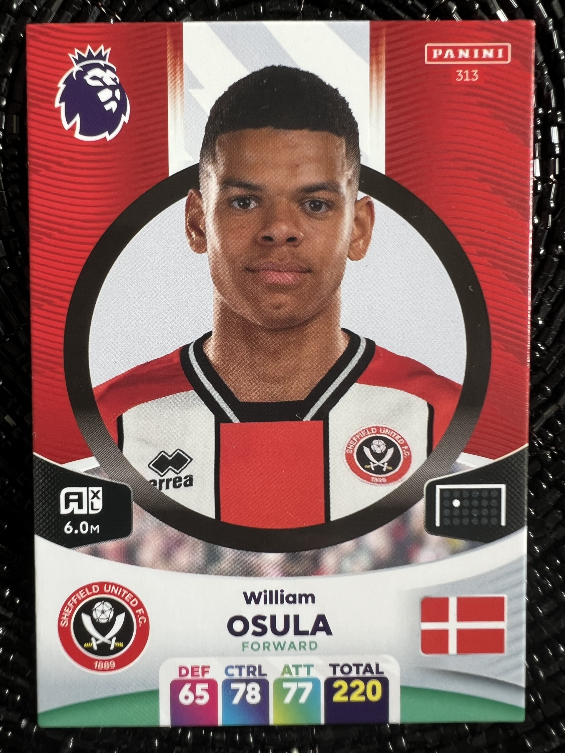 Osula 313 Karta Panini Premier League 2024 Opole Kup teraz na