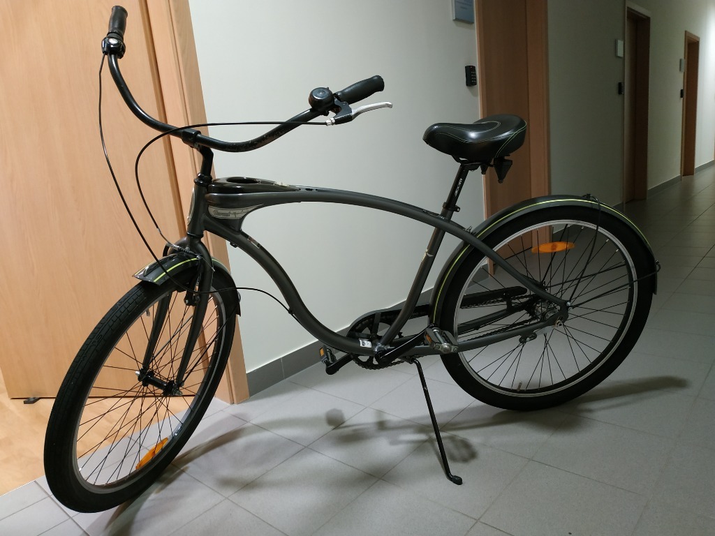 rower schwinn cruiser