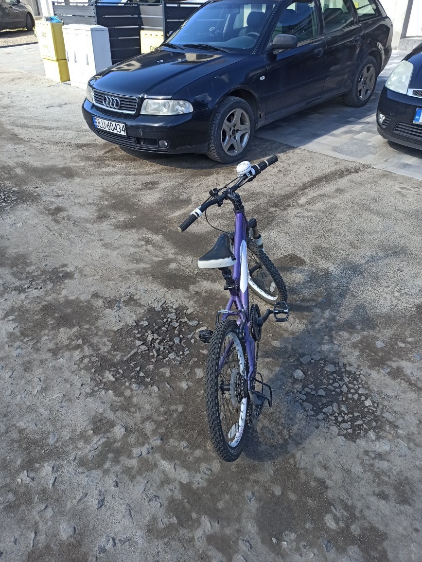 carrera luna 20 pink