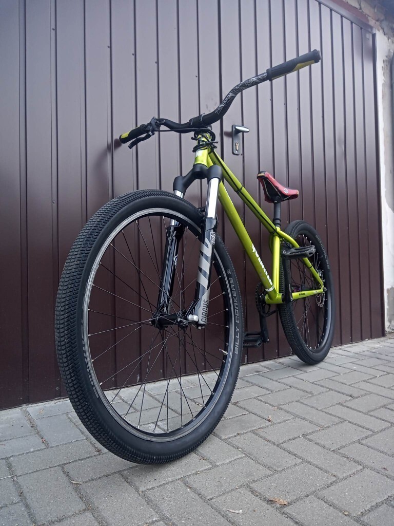 dartmoor quinnie frame