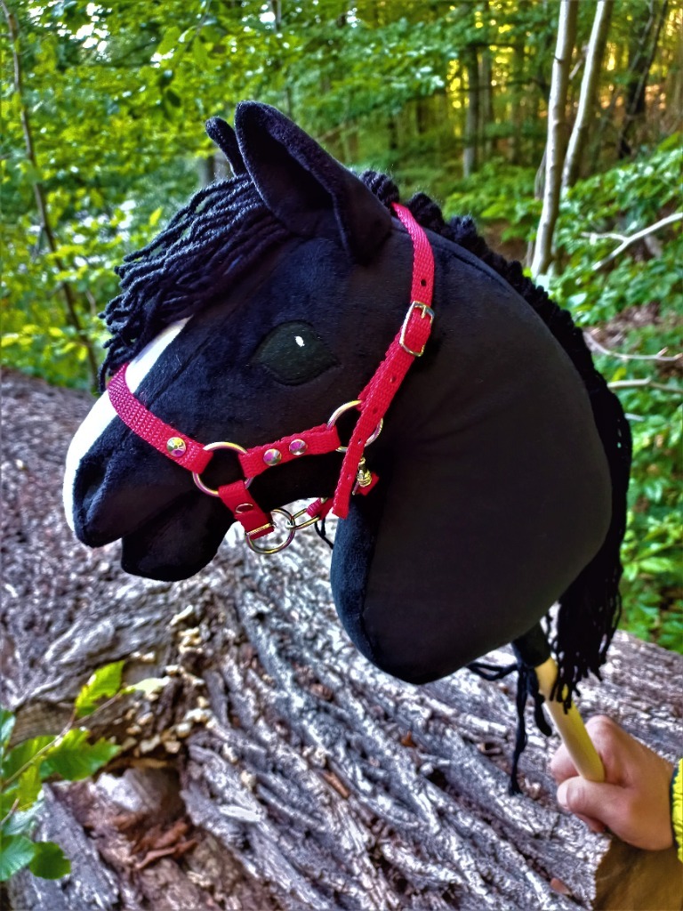 Hobby horse kary A4 +gratis ! Reda Kup teraz na Allegro Lokalnie