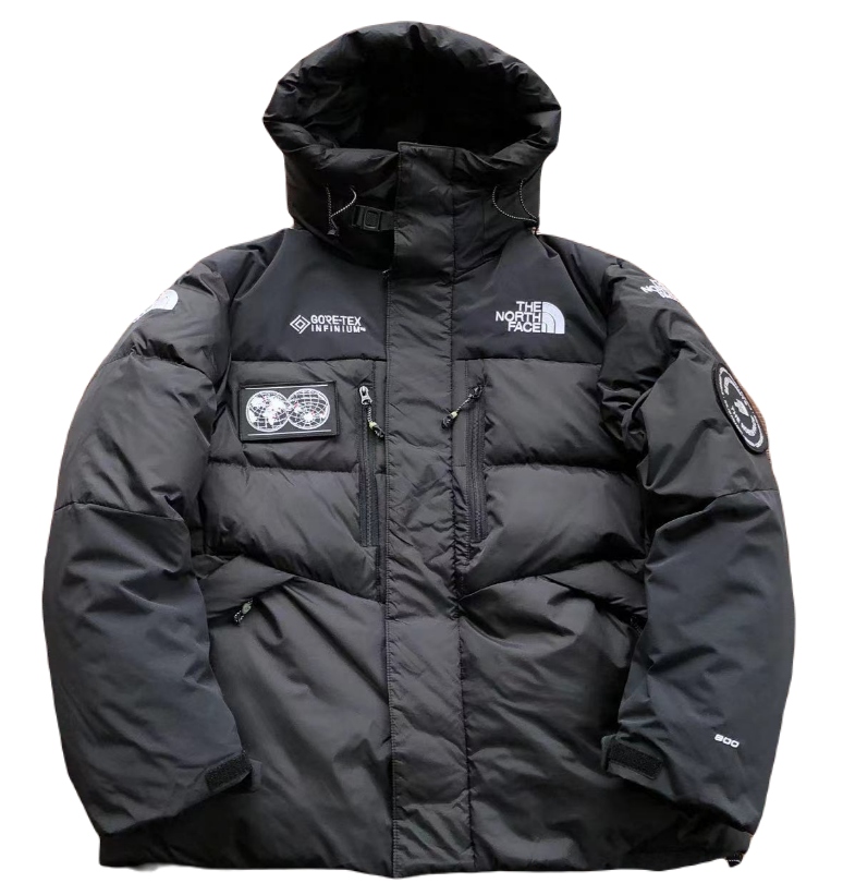 Veste Gore-Tex THE NORTH FACE