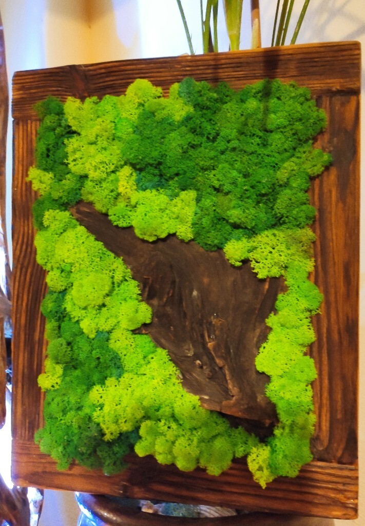 Niepowtarzalny obraz z mchu chrobotka, panel Grybów Ogłoszenie na