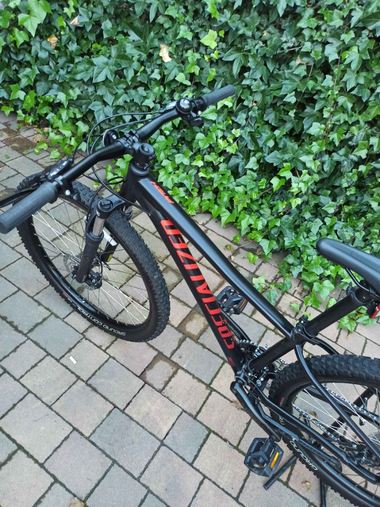 Specialized pitch 2024 dove grey