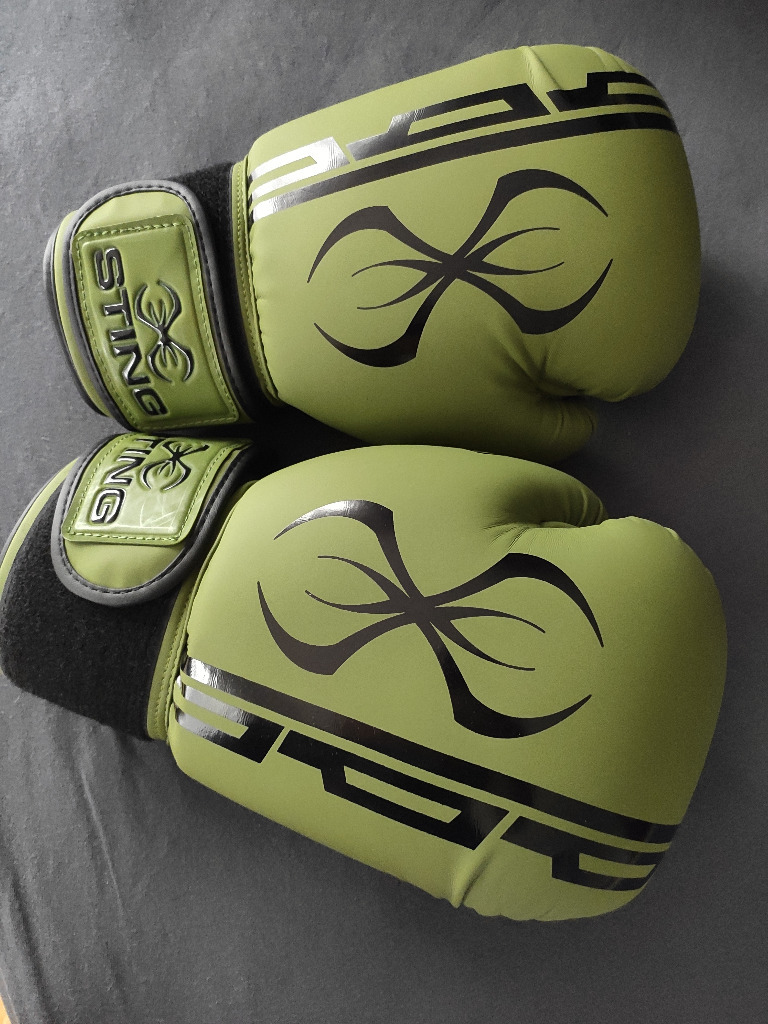 Rękawice bokserskie STING oz. 16 (jak Everlast) Żywiec Kup teraz na