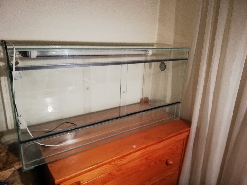 Terrarium+lampa grzewcza i oświetleniowa Warszawa Kup teraz na Allegro Lokalnie