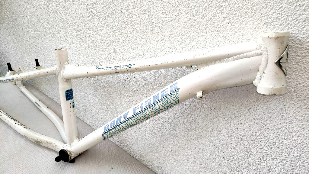 gary fisher precaliber 24