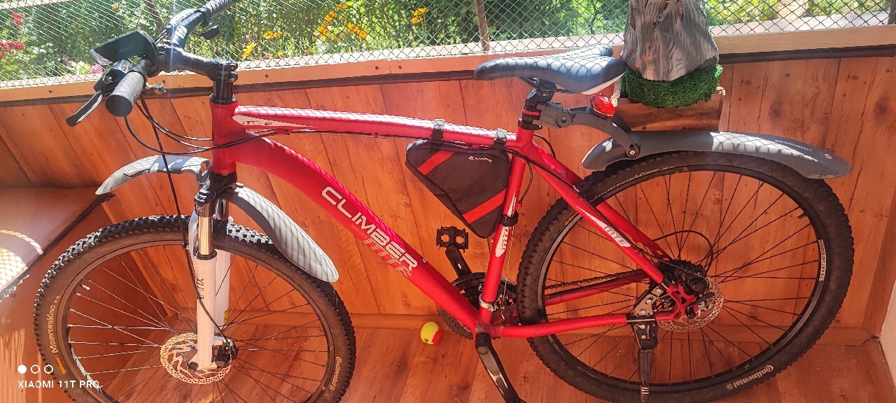 Climber mtb best sale 29