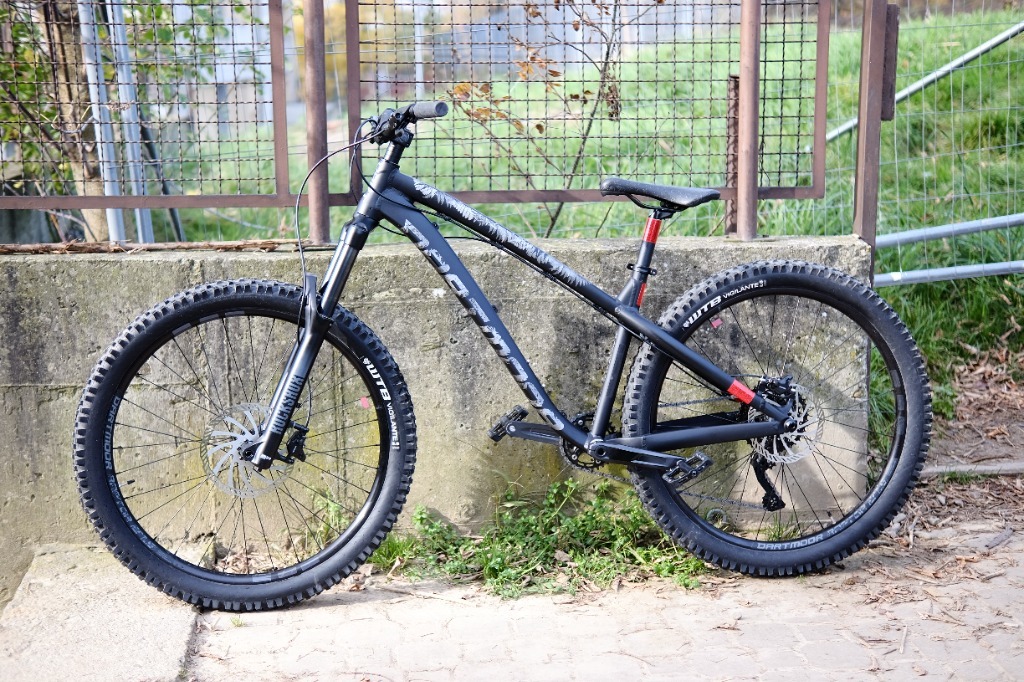 dartmoor hornet 2020 price