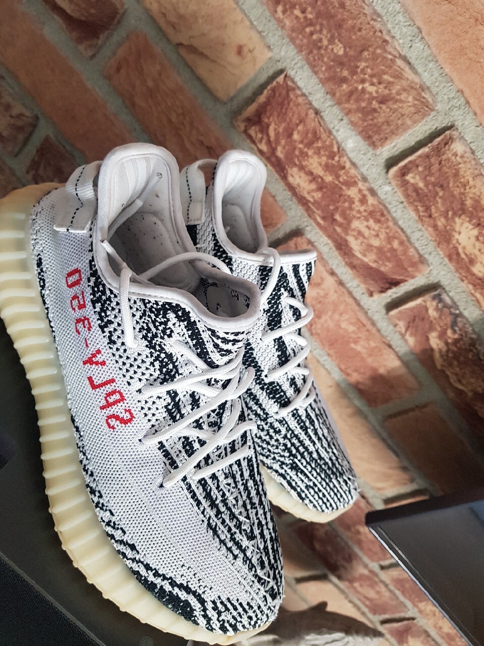 yeezy zebra allegro