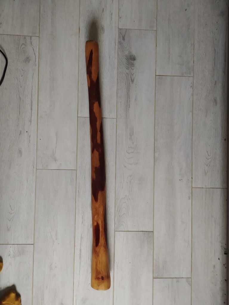 Didgeridoo Eukaliptus z Australii F Sopot Kup teraz na Allegro