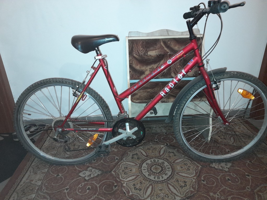 stary rower raptor edition 1997 Jaworzno Licytacja na Allegro Lokalnie